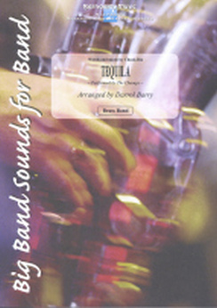 Musiknoten A Christmas Pop Collection, Jan van Kraeydonck - Brass Band