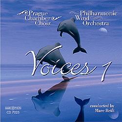 Blasmusik CD Voices 1 - CD