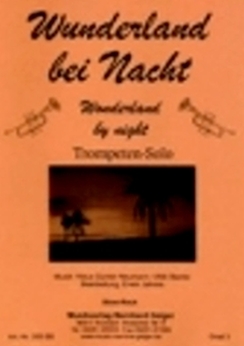 Musiknoten Wunderland bei Nacht, Jahreis