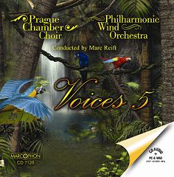 Musiknoten Voices 5 - CD