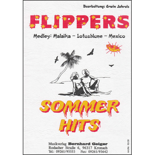 Musiknoten Flippers Sommerhits, Jahreis - Big Band
